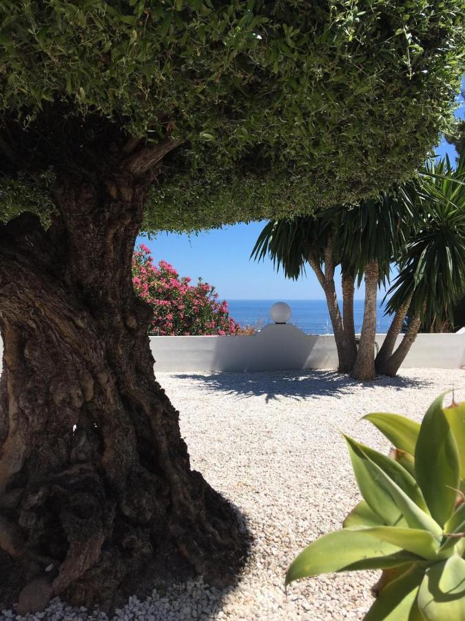 Bed and Breakfast Casa Capricornio Marbella Esterno foto