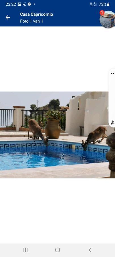 Bed and Breakfast Casa Capricornio Marbella Esterno foto